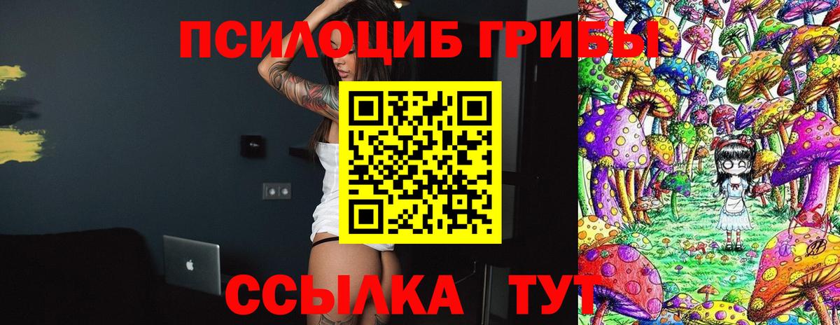Галлюциногенные грибы Psilocybine cubensis Жигулёвск