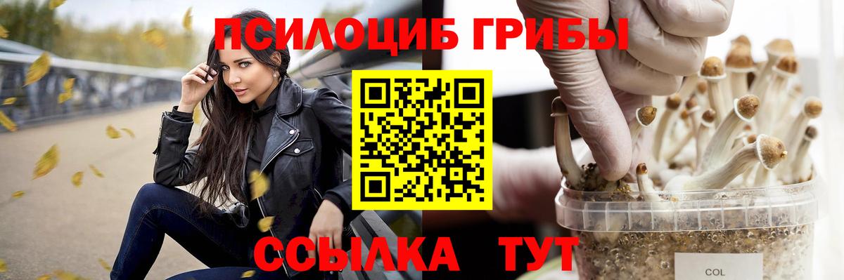 Жигулёвск  Псилоцибиновые грибы Psilocybine cubensis  Псилоцибиновые грибы Cubensis  Вход с VPN 
